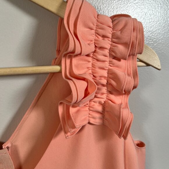 Lafayette 148 Laurie Ruffle Detail Shift Dress Size 14 Coral Event Wedding Guest - Picture 5 of 10